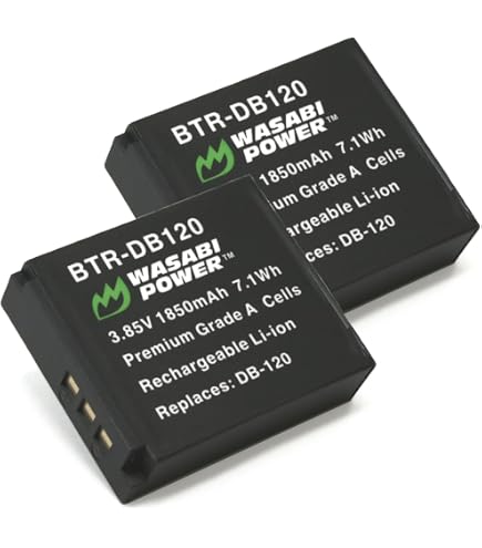 Amazon.com : Wasabi Power Battery for Ricoh DB-65 and Ricoh GR