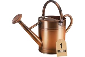 CherHome Watering Can for Outdoor Plants&Indoor Plants,Plant Watering Pot 1 Gallon with Removable Spout,Metal Flower Garden Water Can Watering Pot,Galvanized Steel Watering Can Outdoor，Copper