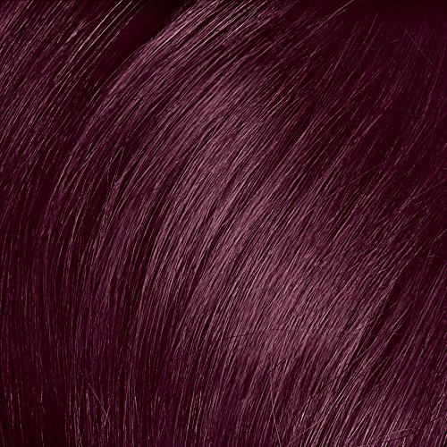 Vidal Sassoon Pro Series London Luxe Hair Color Midnight Amethyst