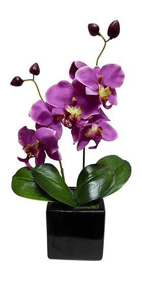 Uk Gardens Orchidée Rose Artificielle Plante En Pot 34 Cm De