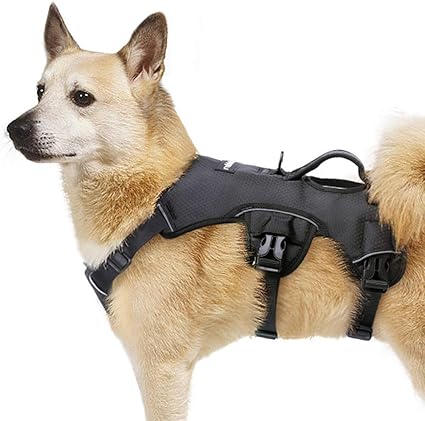 canine friendly life jacket