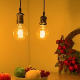 EYLM Vintage Edison Light Bulbs 4 Pack 40W E27 220V Dimmable G80 Retro Filament view 4