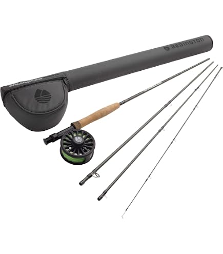 amazon shimano spheros spinn reels Shimano Spheros SW A Spinning Reel