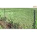 Metal Fence Post Green 5 Feet, Pack of 10, for 48 Inch High Garden Welded Wire Fence U-Channel Steel Garden Post