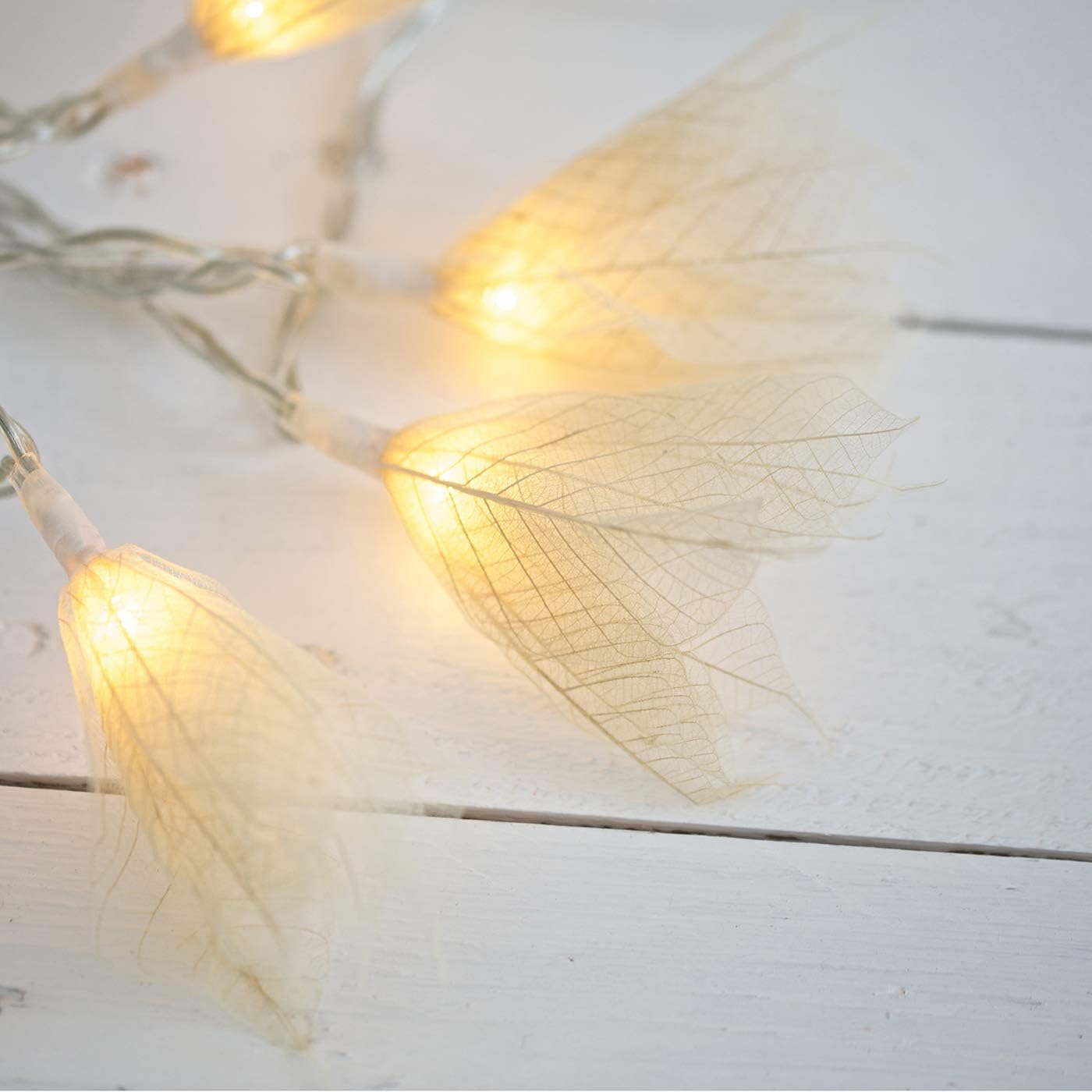 Blaze On Natural Leaf Fairy Lights (Cream Coloured), 20 Warm White LED Lights, Handcrafted from Real Rubber Tree Leaves - Image 4