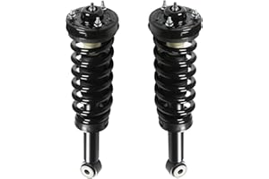 Peforway Pair Front Struts Shock Absorbers Assembly Fit for Ford F150 2009 2010 2011 2012 2013 (4WD Only) Replacement 171141