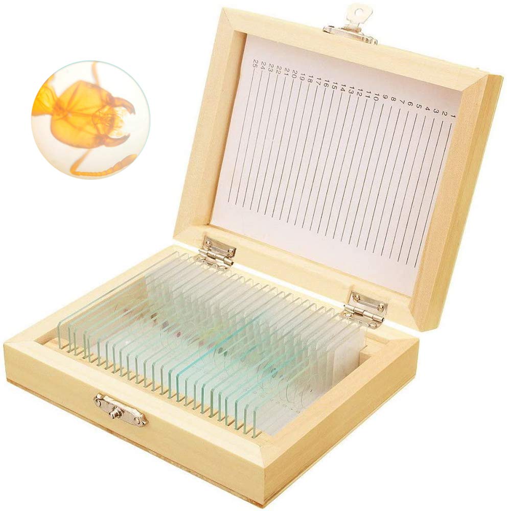 Bysameyee Kit 25 Lames Microscope Préparées + Boîte Bois - Spécimens Plantes, Insectes, Animaux Pour Enfants Et Éducation Scientifique