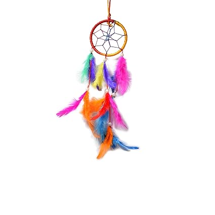Asian Hobby Crafts Dream Catcher Wall Hanging - Macaw