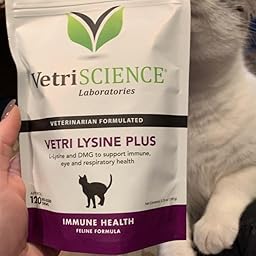 vetri lysine plus for cats