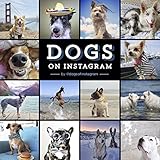 Dogs on Instagram