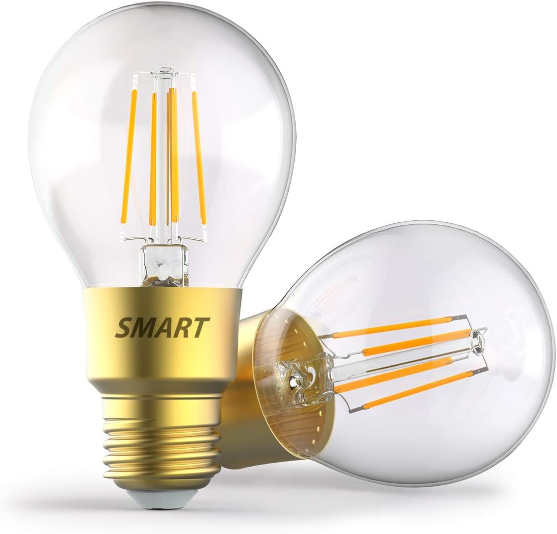 Smart Light Bulbs Compatible With Alexa And Google Assistant A19 E26 Light Bulb Dimmable No Hub Required Diverse Style Pack Of 2 Wifi Amber