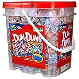 DUM DUMS Lollipops, Variety Flavor Mix, 1,000 Count Bucket