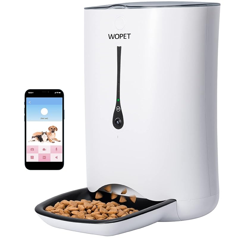 10 Best Cat Food Dispenser & Cat Feeder For Dry Food iHomePet