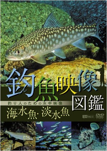 Amazon Co Jp シンフォレストdvd 釣魚映像図鑑 海水魚 淡水魚 釣り人のための水中映像 Dvd ブルーレイ 田口 哲