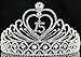 Janefashions Quinceanera Sweet 15 Fifteen 15th Birthday Party coronas de quinceañeras Clear White Austrian Rhinestone Tiara Crown with Hair Combs Princess Gold Silver T1756 (Silver With Combs)