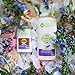 Stinkbug Naturals Lavender Deodorant Stick