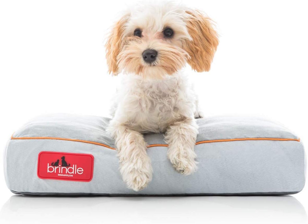 shredded memory foam dog bed