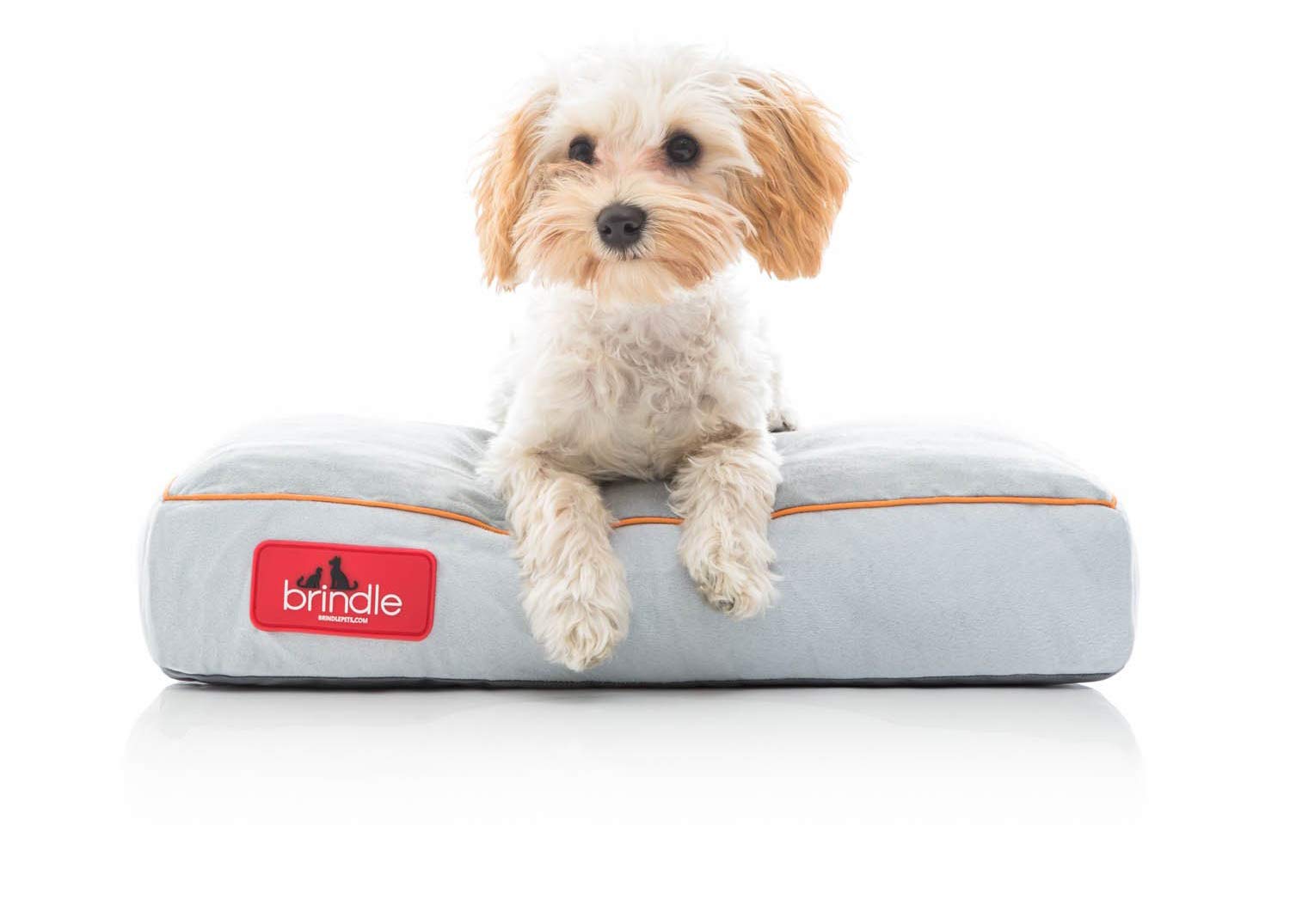 brindle soft memory foam dog bed