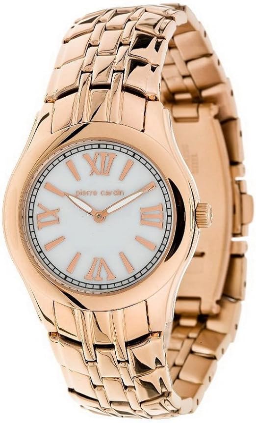 Pierre cardin PC102912F02 Montre Femme Quartz Analogique Bracelet Acier Inoxydable