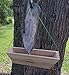Open Platform Squirrel Feeder with Peanuts