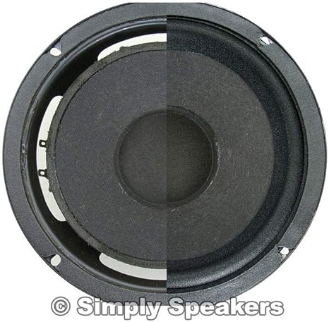 refoaming speakers without shims