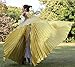 Dance Fairy Opening Belly Dance Isis Wings,Golden(No Sticks)