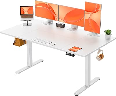 ErGear Electric Standing Desk 160x80cm with 4 Memory Panel Sit Stand