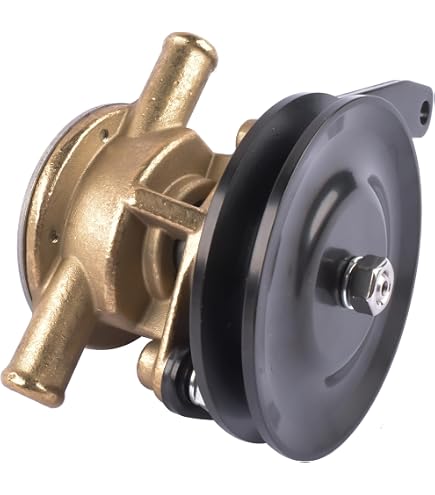 Amazon.com: SCP-128377 Major Rebuild Kit with Shaft for 3