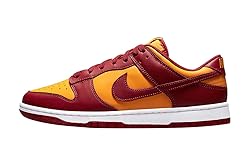 Nike Men's Dunk Low Retro Basketball