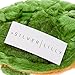 Silver Lilly Turtle Slippers - Plush Novelty Sea Animal Slippers