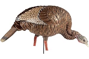 Avian-X HDR Feeding Hen Decoy
