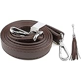 Beaulegan Purse Strap Replacement - Microfiber Leather - 59 Inch Long Adjustable for Crossbody Shoulder Bag - 0.7 Inch Wide, Dark Brown/Silver