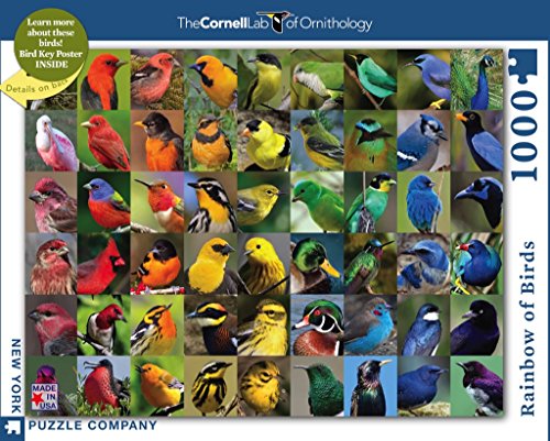 New York Puzzle Company - Cornell Lab Rainbow of Birds - 1000 Piece Jigsaw Puzzle