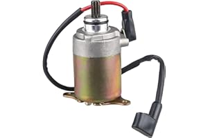 WATERWICH Starter Compatible with GY6 Engine 150cc 200cc 4-Stroke ATV Dirt Bikes Scooters Go Kart Compatible with Baja Wilderness Tao Tao Coolster Jonway Roketa