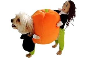 BKDRL Dog Pumpkin Costume, Funny Dog Costumes, Halloween Costumes for Cat and Small Dog, Orange, Small