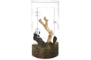 NANEEZOO Acrylic Tarantula Enclosure Jumping Spider Enclosure with Front Opening Door Micro Habitat Terrarium for Small Tree Dwelling Reptiles, Spiders & Invertebrates