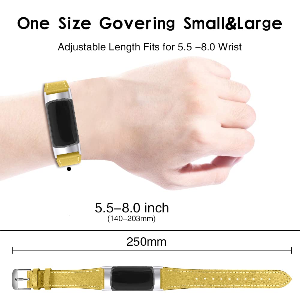 View 3