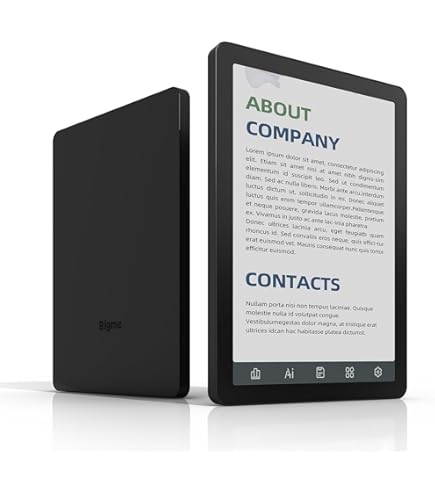 Amazon.com: Bigme ePaper Tablet eBook Reader 32GB 6 Inch Black and