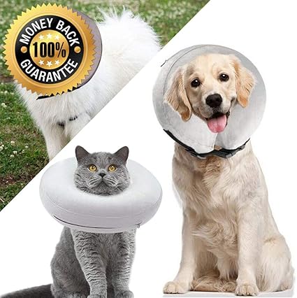 dog anti scratch collar