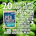 Nutrasumma Fermented Pea Protein, 1lb, Vanilla
