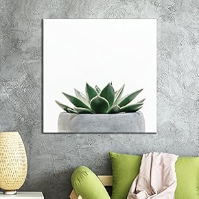 Small Succulent Pot On White Background - Canvas Art
