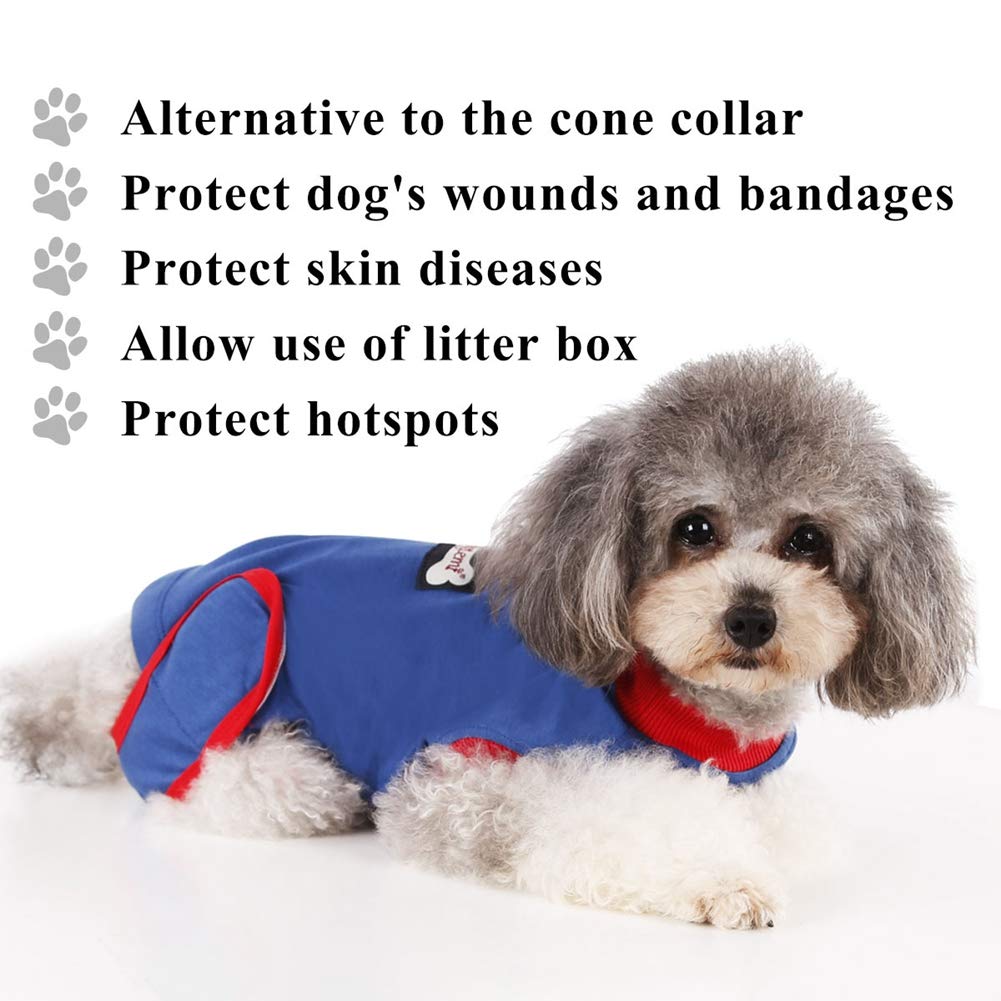 Smilikee Traje De Recuperaci n Para Perros Y Gatos Morder Protector De 
