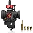 NIBBI Carburetor PE22mm, Fits 125cc 130cc 140cc Flange Motorcycle Engines, With Main Pilot jet, fits for Apollo RFZ125 SSR125 GY6 ATV Pit Dirt bike Taotao Predator212