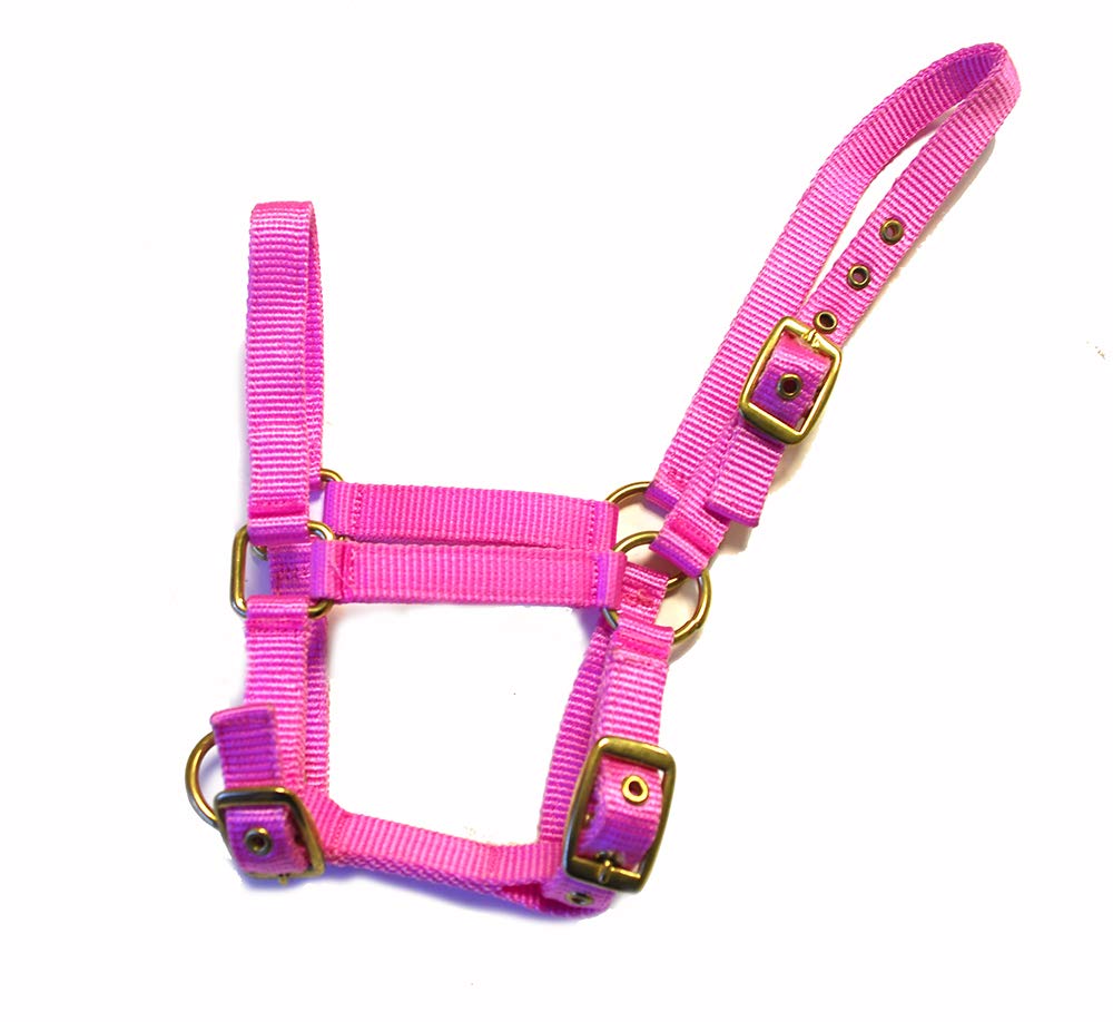 Rhinegold Nylon Foal Headcollar - Pink