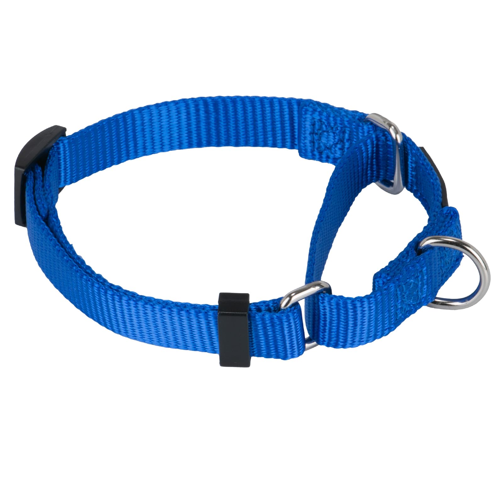 Hyhug Heavy Duty Nylon Escape-proof Martingale Dog Collar for Small Boy and Girl Dogs - Walking Training Daily Use. (Small, Bright Blue) — image 1