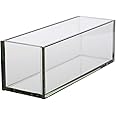 WGV Rectangle Plate Vase, Length 12", Width 4", Height 4", Glass Container, Floral Dispaly, Candy Holder, Planter Terrarium for Wedding Party Event, Home Office Décor, Clear, 1 Piece