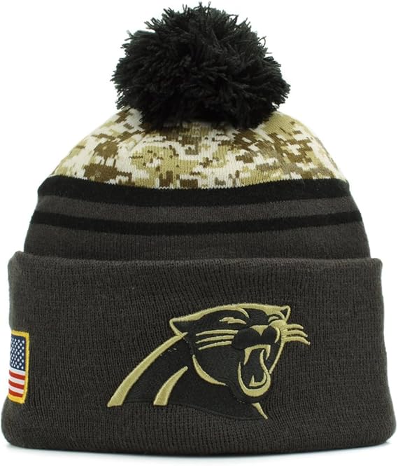 nfl salute to service carolina panthers