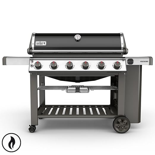 Weber Genesis II E- 610 GBS Schwarz