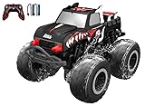 STEMTRON Amphibious Remote Control Car 2.4 GHz 1:20