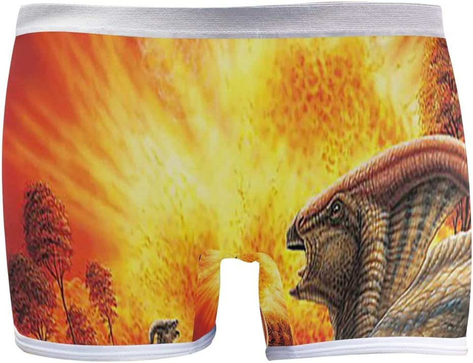 SLHFPX Dinosaur Watching Volcano Boyshort Panties Womens Long Leg Underwear Briefs Boy Shorts